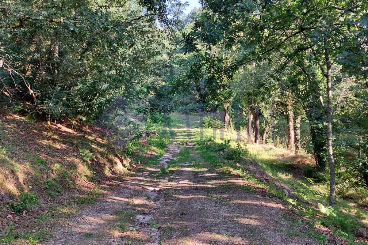 Terreno rustico